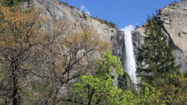 Ağaçlar ve Bridalveil sonbahar - Yosemite Milli Parkı, Kaliforniya
