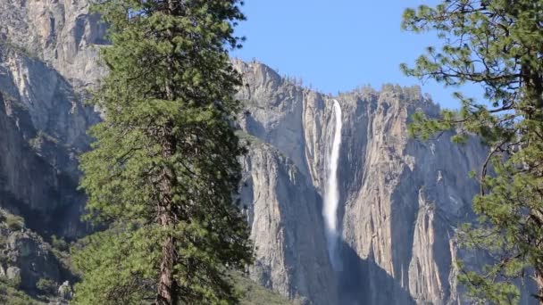 Pine Tre Ribbon Fall Parque Nacional Yosemite Califórnia — Vídeo de Stock