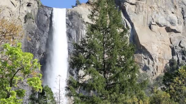 ブライダル ベール滝 ヨセミテ国立公園 カリフォルニア州の木 — ストック動画