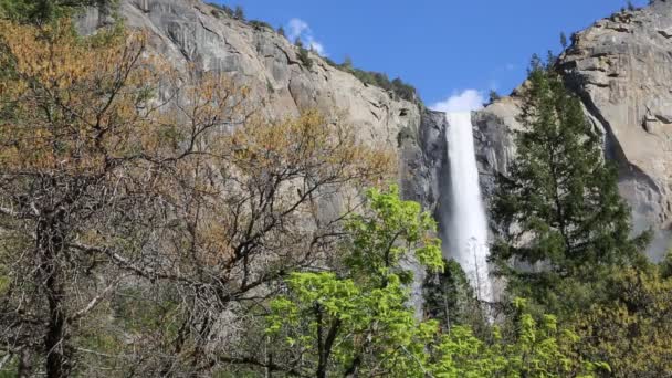 Alberi Bridalveil Fall Yosemite National Park California — Video Stock