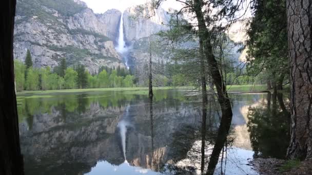 Visa Från Skogen Yosemite Fall Yosemite National Park Kalifornien — Stockvideo