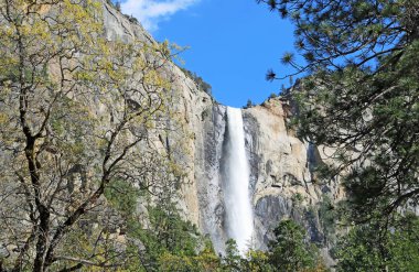 Bridalveil sonbahar - Yosemite Milli Parkı, Kaliforniya
