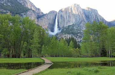 Yolun Yosemite Vadisi - Yosemite Milli Parkı, Kaliforniya