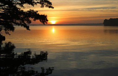 Sunrise zafer - Reelfoot Gölü State Park, Tennessee