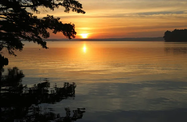 Sunrise Sláva Letiště Reelfoot Lake State Park Tennessee — Stock fotografie