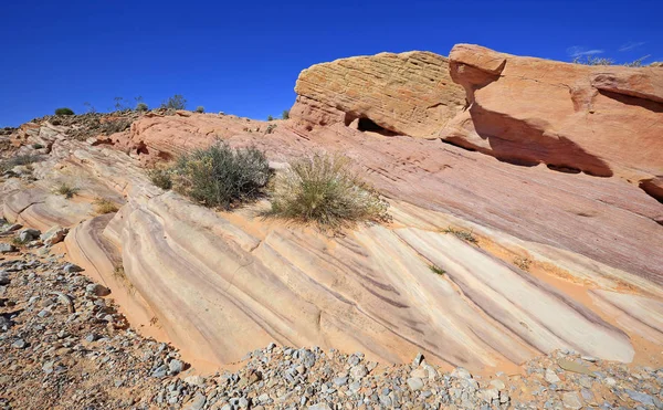 Colorful Sandstone Slab Valley Fire State Park Nevada — Stock Photo, Image