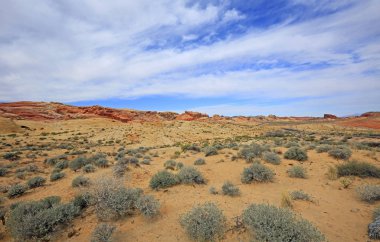 Gökkuşağı Vista - Valley of Fire State Park, Nevada