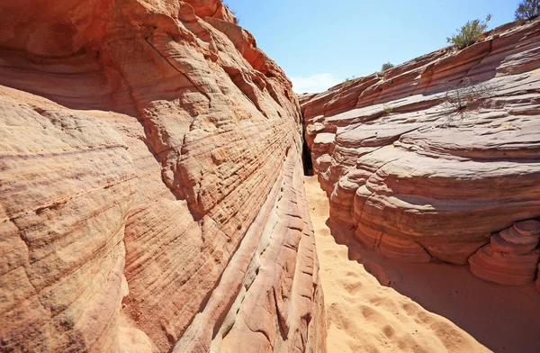 Rosa Slot Valley Fire State Park Nevada — Stockfoto