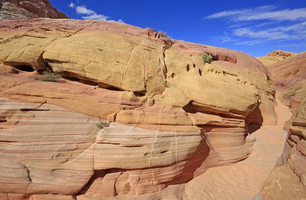 Turuncu Pembe Cliff Pastel Kanyon Vadisi Yangın State Park Nevada — Stok fotoğraf