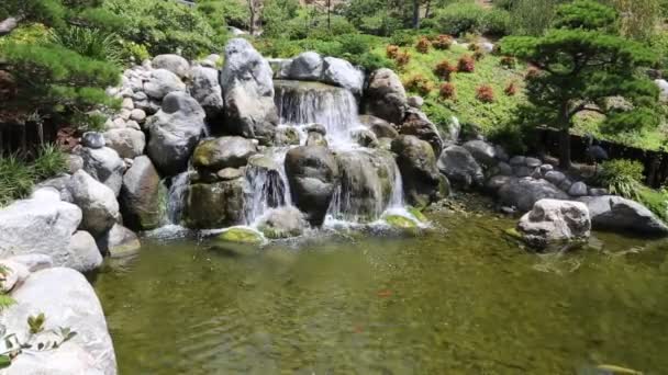 Cascadas Jardín Japonés San Diego California — Vídeo de stock