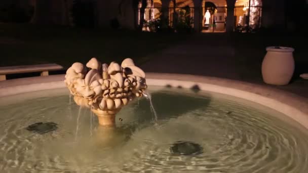 Fountain Balboa Park San Diego California — Stock Video