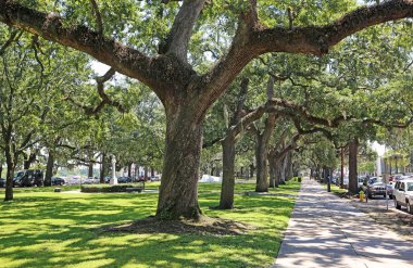 Emmet Park - Savannah, Georgia sokakta