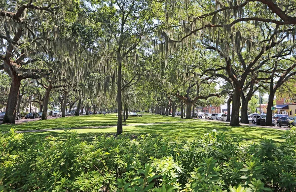 Emmet Park Savannah Gruzie — Stock fotografie