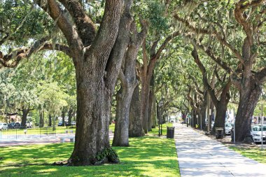 Emmet Park - Savannah, Georgia yürüyüş
