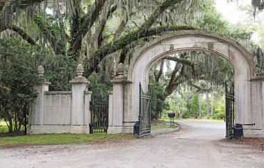 Wormsloe ekimi - Savannah, Georgia çıkış