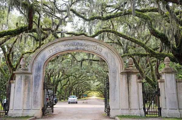Vstupní Brána Wormsloe Plantáži Savannah Gruzie — Stock fotografie