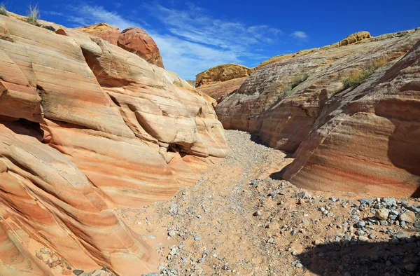 Sentiero Nel Pastel Canyon Valley Fire State Park Nevada — Foto Stock