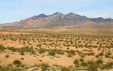 Yangın aralığı - Vadisi yangın State Park, Nevada kase