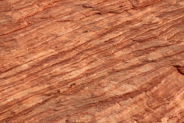 Brown Texture Sandstone Valley Fire State Park Nevada — Stock Photo, Image