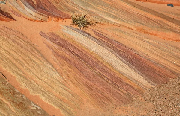 Красочный Песчаник Valley Fire State Park Nevada — стоковое фото