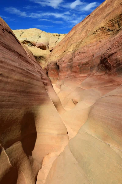 Pastel Canyon Vertikal Valley Fire State Park Nevada — Stok Foto