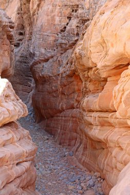 Kanyon - dikey - Vadisi yangın State Park, Nevada yuvası