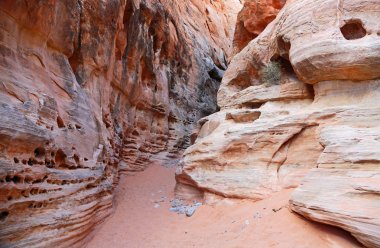 Yuvası kanyona - Vadisi yangın State Park, Nevada girin