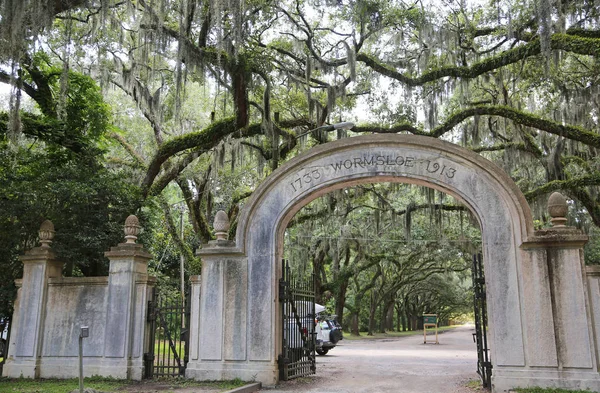 Vstupní Brána Wormsloe Plantáži Savannah Gruzie — Stock fotografie