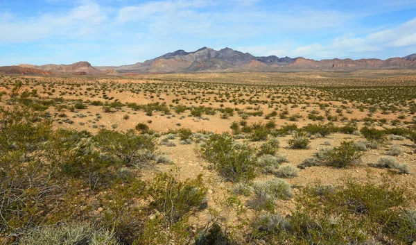 View Bowl Fire Valley Fire State Park Nevada — Stock Photo, Image