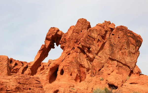 Elephant Rock Valley Fire State Park Nevada — Foto Stock