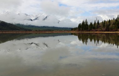Tepeler ve ağaçlar - Banff National Park, Alberta, Kanada