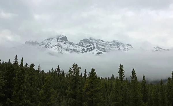 Girouard Sobre Floresta Banff National Park Alberta Canadá — Fotografia de Stock