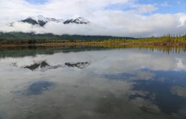 Sundance tepe ve orman - Banff National Park, Alberta, Kanada