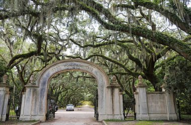 Wormsloe Plantation, Savannah, Georgia girme