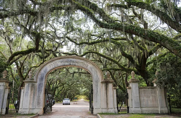 Wprowadzanie Wormsloe Plantacji Savannah Georgia — Zdjęcie stockowe