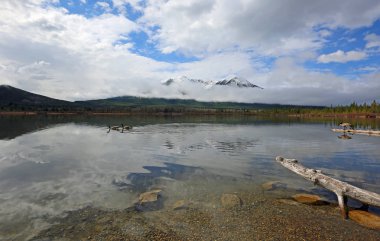 Kanada kazlar Vermilion Gölü - Banff National Park - Alberta, Kanada