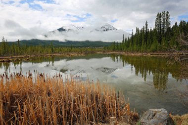 Pastoral manzara Vermilion Gölü - Banff National Park - Alberta, Kanada