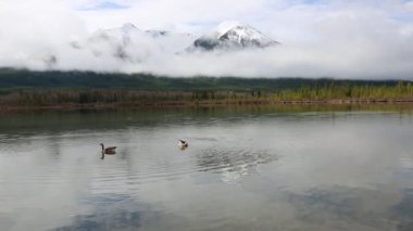 Kazlar ve Sundance tepe - Kanada