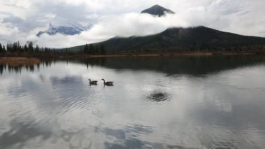 Kaz ve kükürt dağ - Banff Np, Amerika Birleşik Devletleri