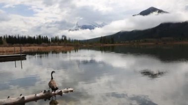 Alma kapalı - Np Banff, Canada
