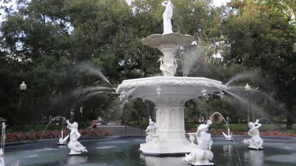 Forsyth Fountain Savannah Georgia — Stock Video