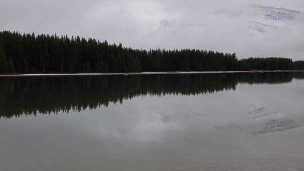 Canada Goose Přijde Dva Jack Jezero Banff Kanada — Stock video