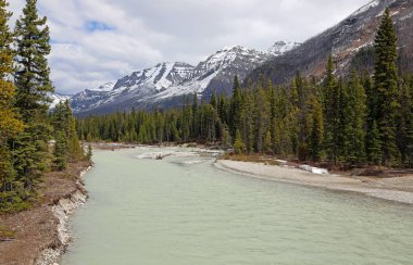 Vermilion nehir ve Rockies - Kootenay Milli Parkı, British Columbia, Kanada