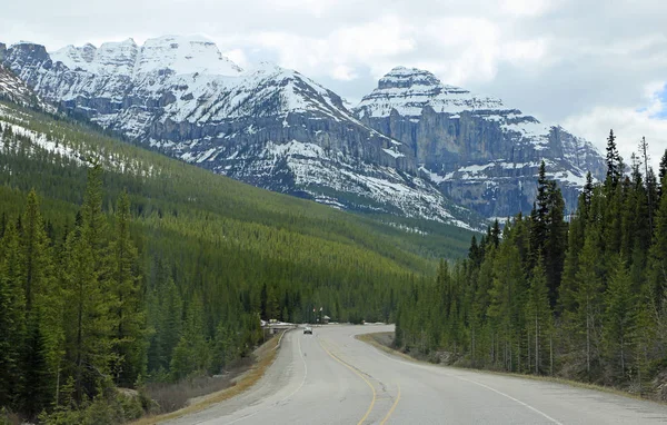 道路和落基山脉 加拿大不列颠哥伦比亚省库特奈国家公园 — 图库照片