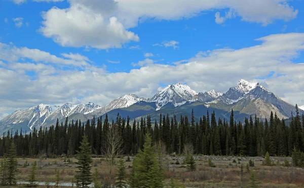 Kootenay Valley Kootenay National Park British Columbia Canada — Stock Photo, Image