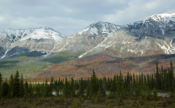 Heuvels Brand Kootenay Nationale Park Brits Columbia Canada — Stockfoto