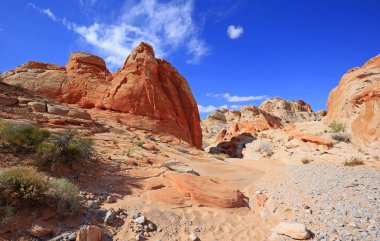 Beyaz kubbeleri iz - Valley of Fire State Park, Nevada