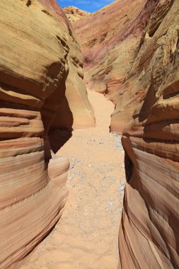 Pastel Kanyon dikey - Vadisi yangın State Park, Nevada