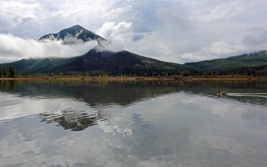 Kükürt Mountain ve Kanada kaz - Vermilion Gölü - Banff National Park, Alberta, Kanada