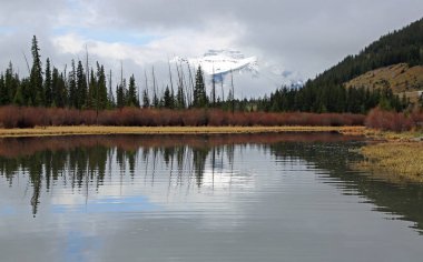 Beyaz dağ arkasında ağaçlar - Vermilion Gölü, Banff National Park, Alberta, Kanada